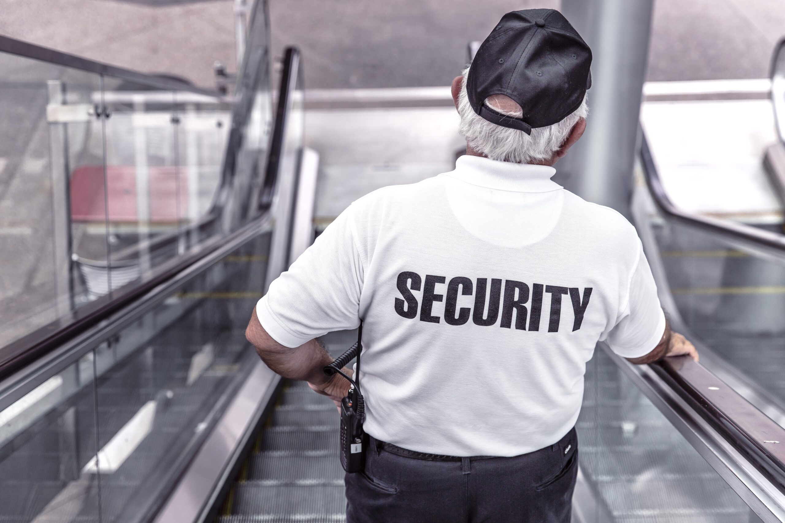 Formation Agent de prévention et sécurité - SSIAP - Cynophile